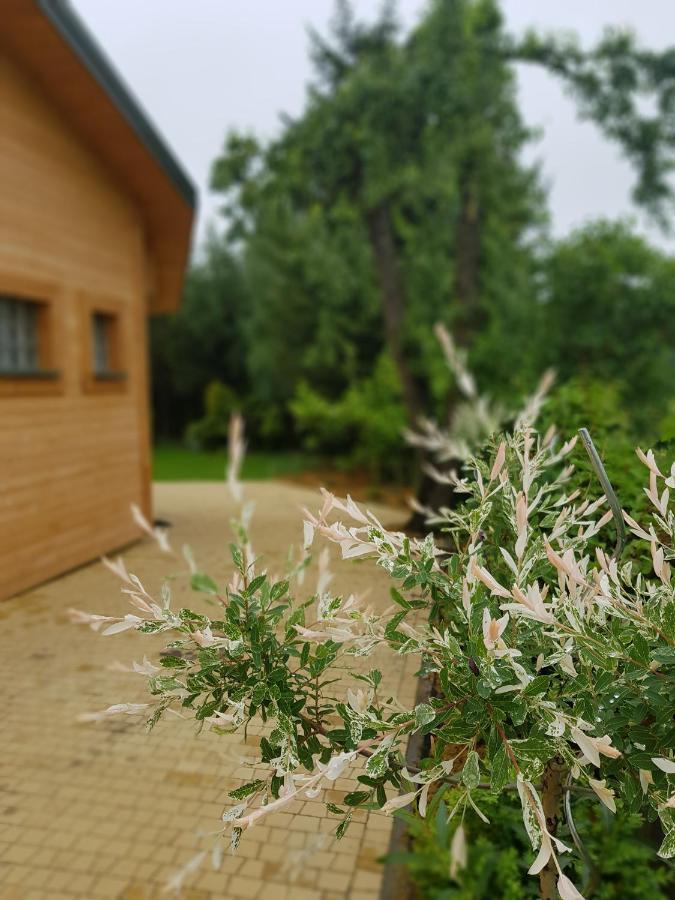 Kosiedlisko Villa Kraśnik Kültér fotó