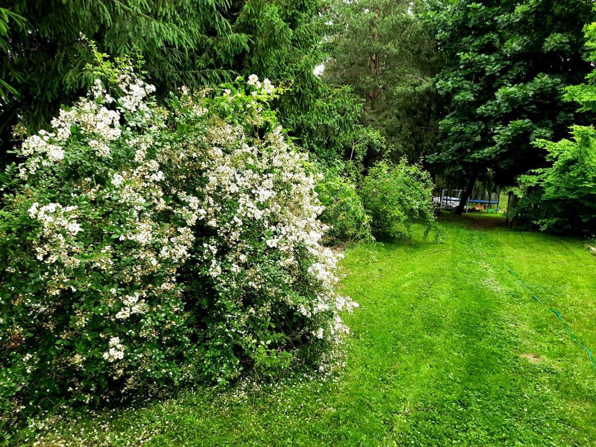Kosiedlisko Villa Kraśnik Kültér fotó